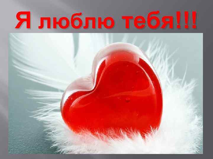 Я люблю тебя!!! 