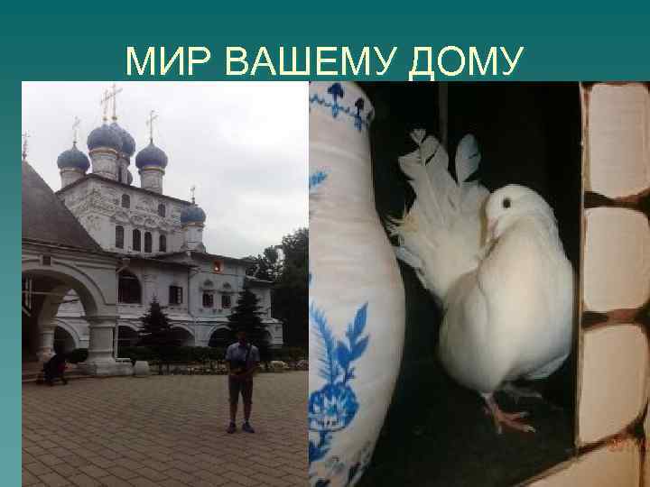 МИР ВАШЕМУ ДОМУ 