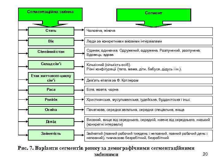 Сегментаційна змінна Стать Вік Сімейний стан Склад сім’ї Етап життєвого циклу сім’ї Раса Сегмент