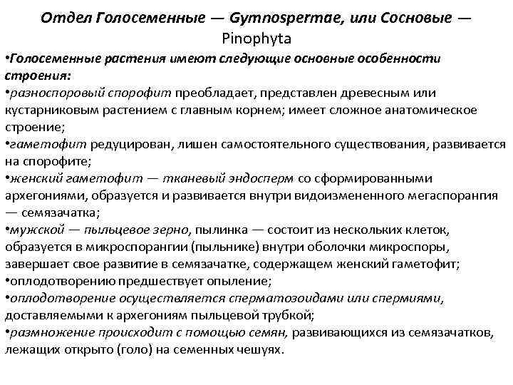 Отдел Голосеменные — Gymnospermae, или Сосновые — Pinophyta • Голосеменные растения имеют следующие основные