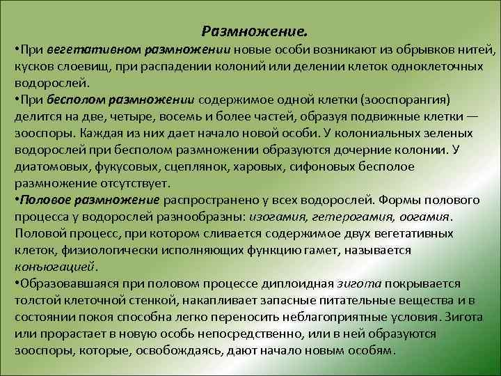 Размножение. • При вегетативном размножении новые особи возникают из обрывков нитей, кусков слоевищ, при