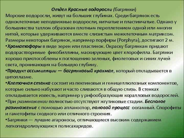 Отдел Красные водоросли (багрянки) Морские водоросли, живут на больших глубинах. Среди багрянок есть одноклеточные