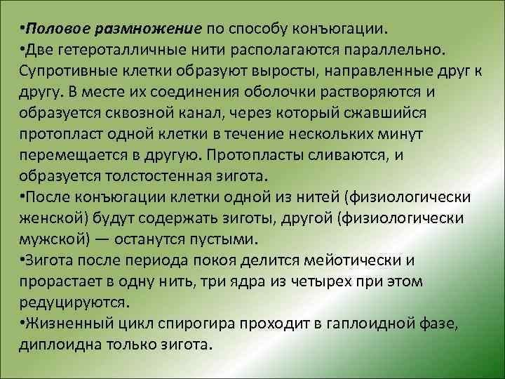  • Половое размножение по способу конъюгации. • Две гетероталличные нити располагаются параллельно. Супротивные