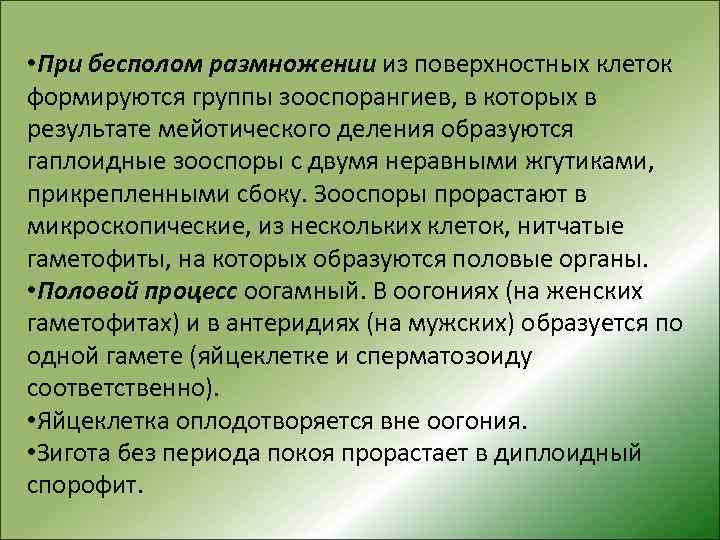  • При бесполом размножении из поверхностных клеток формируются группы зооспорангиев, в которых в