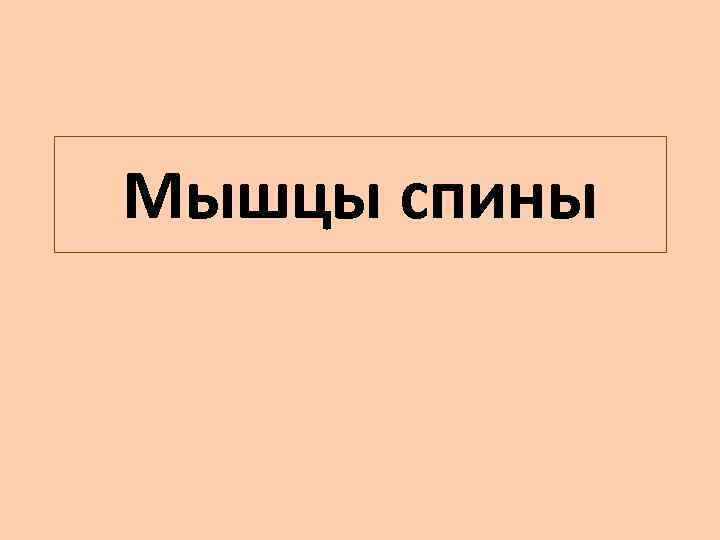 Мышцы спины 