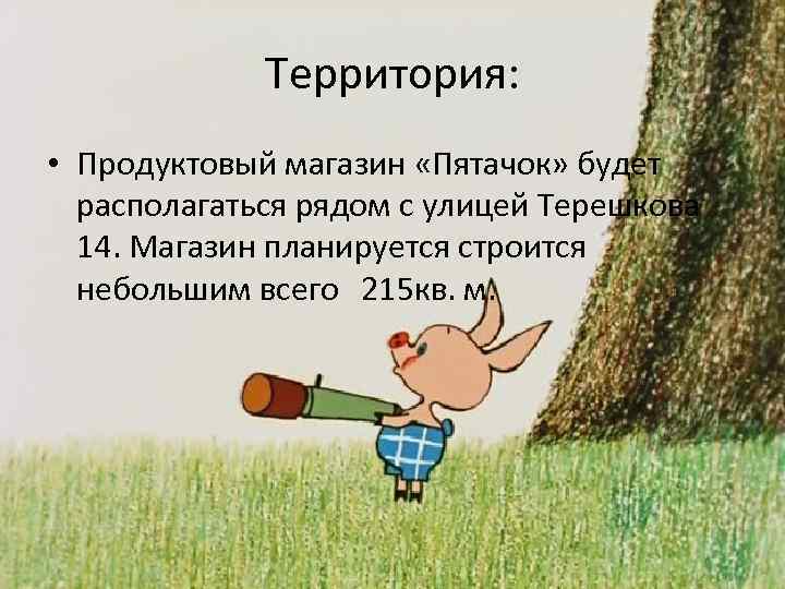 Территория: • Продуктовый магазин «Пятачок» будет располагаться рядом с улицей Терешкова 14. Магазин планируется