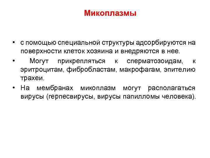 Микоплазмы • с помощью специальной структуры адсорбируются на поверхности клеток хозяина и внедряются в