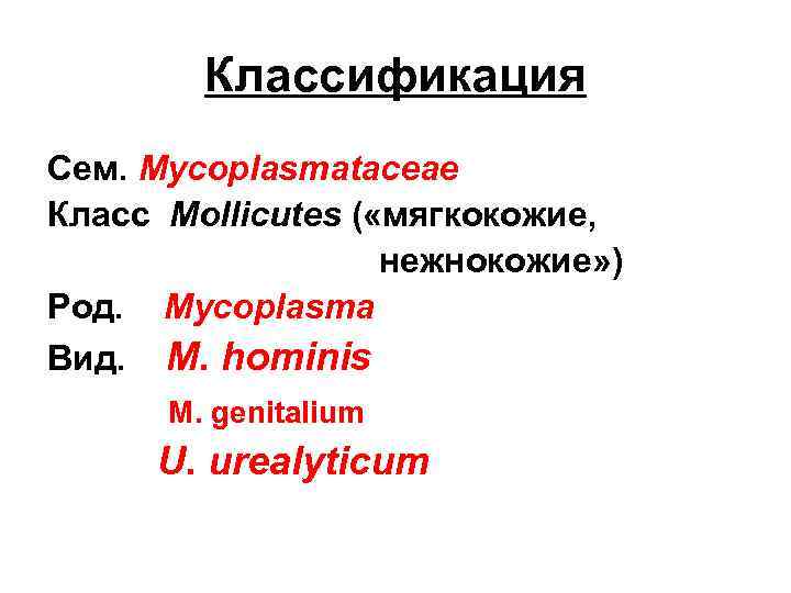 Классификация Сем. Mycoplasmataceae Класс Mollicutes ( «мягкокожие, нежнокожие» ) Род. Mycoplasma Вид. M. hominis