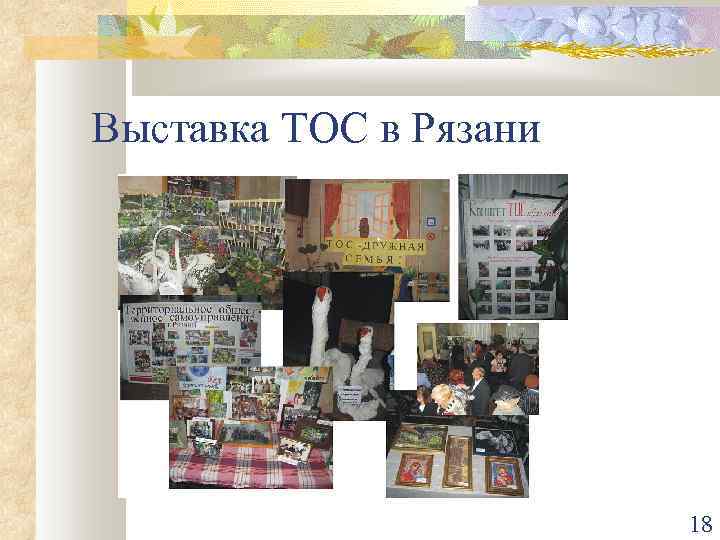 Выставка ТОС в Рязани 18 