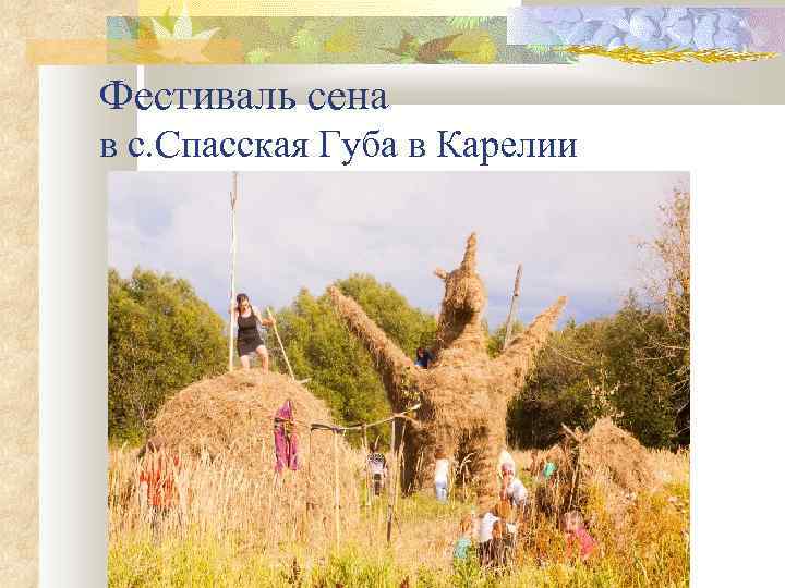 Фестиваль сена в с. Спасская Губа в Карелии 