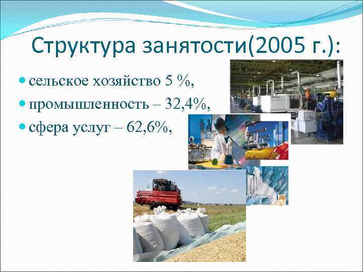 Структура занятости(2005 г. ): сельское хозяйство 5 %, промышленность – 32, 4%, сфера услуг