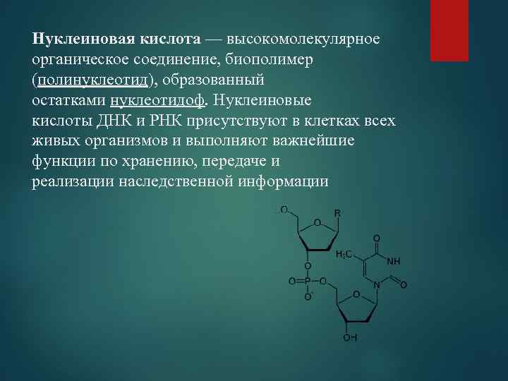 Органическим веществом является 2. Органические соединения нуклеиновые кислоты. Органические вещества нуклеиновые кислоты. Биополимеры нуклеиновые кислоты. Нуклеиновые кислоты неорганические вещества.