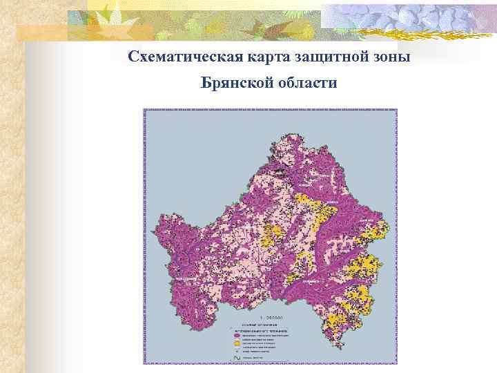 Схематическая карта защитной зоны Брянской области 