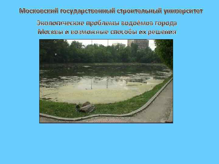Московский государственный строительный университет Экологические проблемы водоёмов города Москвы и возможные способы их решения