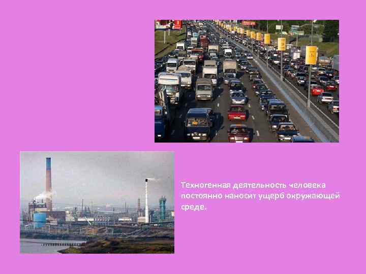 Техногенная деятельность человека постоянно наносит ущерб окружающей среде. 