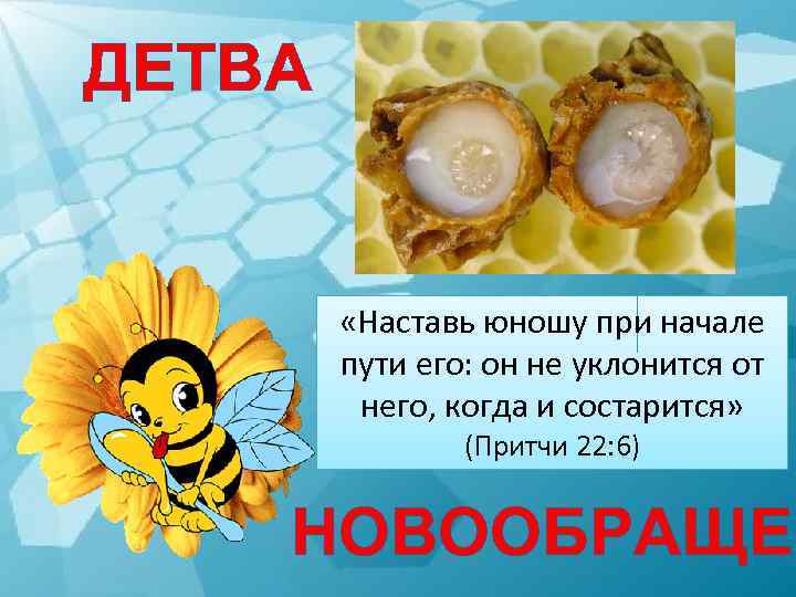 ДЕТВА «Наставь юношу при начале пути его: он не уклонится от него, когда и