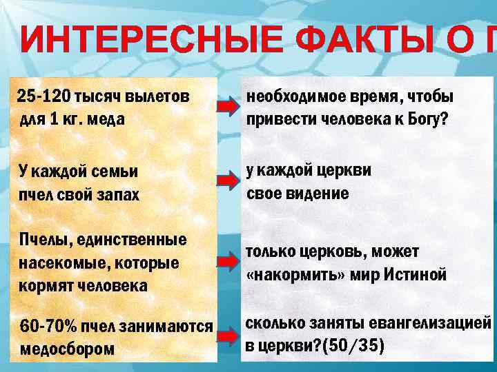 ИНТЕРЕСНЫЕ ФАКТЫ О П 25 -120 тысяч вылетов для 1 кг. меда необходимое время,