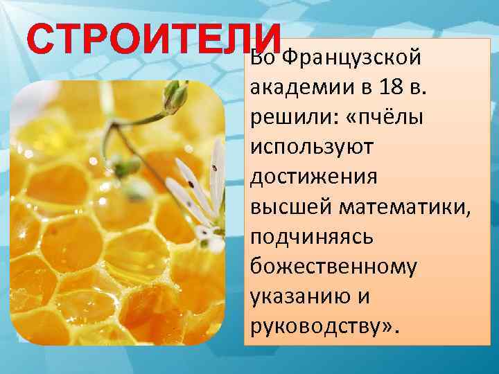 СТРОИТЕЛИФранцузской Во академии в 18 в. решили: «пчёлы используют достижения высшей математики, подчиняясь божественному