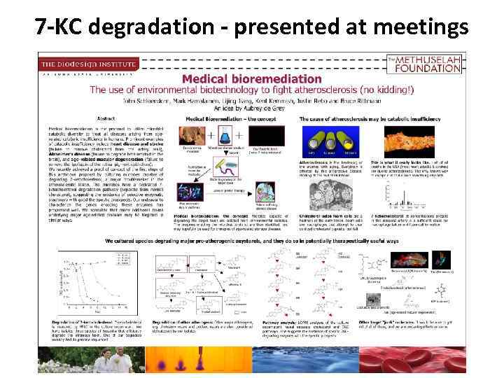 7 -KC degradation - presented at meetings 