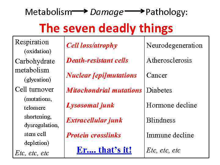 Metabolism Damage Pathology: The seven deadly things Respiration (oxidation) Carbohydrate metabolism (glycation) Cell turnover