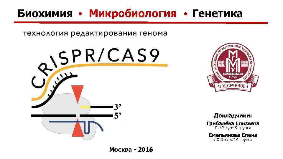  Биохимия Микробиология Генетика Докладчики: Грибалёва Елизвета ЛФ 3 курс 9 группа Емельянова Елена