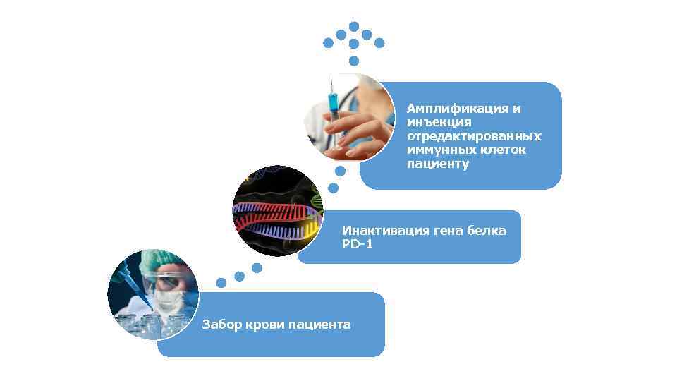 Амплификация и инъекция отредактированных иммунных клеток пациенту Инактивация гена белка PD-1 Забор крови пациента