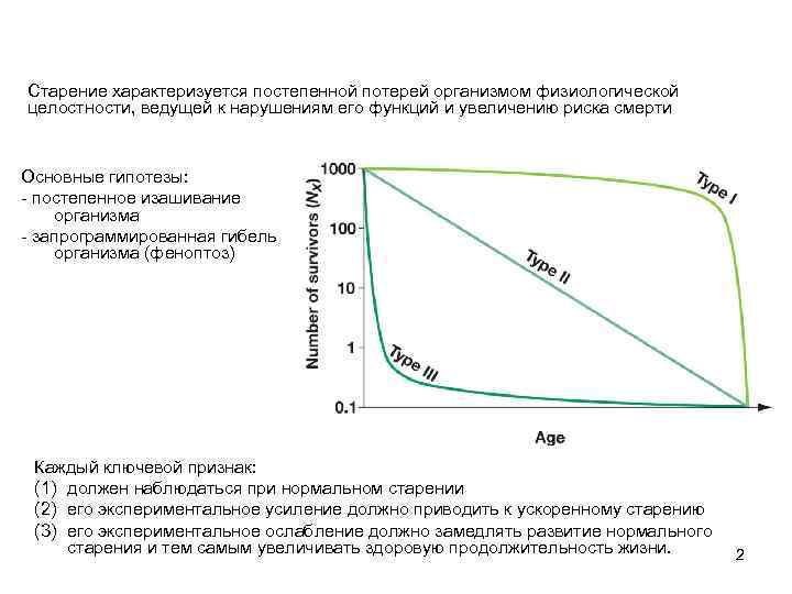 Старение характеризуется постепенной потерей организмом физиологической целостности, ведущей к нарушениям его функций и увеличению