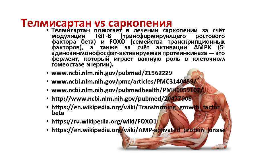 Телмисартан vs саркопения • Телмисартан помогает в лечении саркопении за счёт • • модуляции