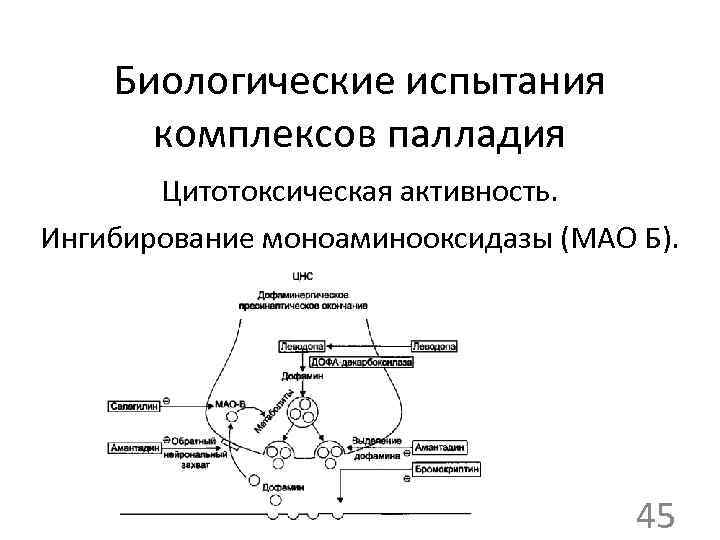 Биологические испытания комплексов палладия Цитотоксическая активность. Ингибирование моноаминооксидазы (МАО Б). 45 