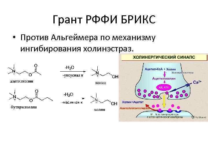 Грант от рффи