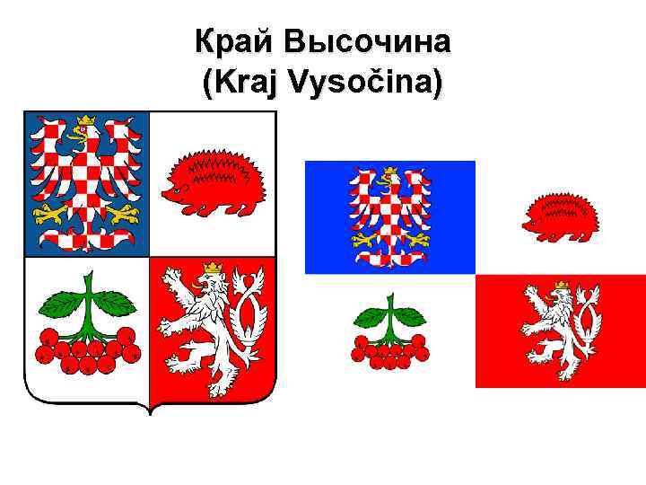 Край Высочина (Kraj Vysočina) 