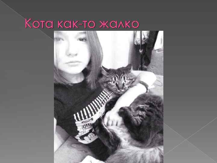 Кота как-то жалко 