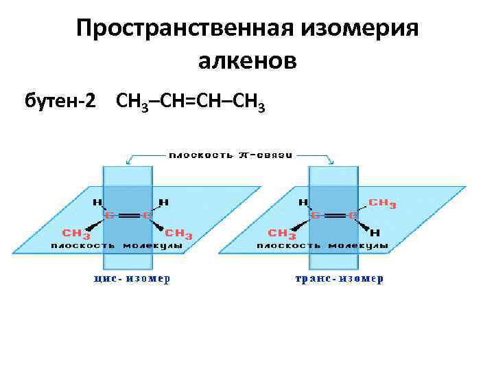 Пространственная изомерия алкенов бутен-2 СН 3–СН=СН–СН 3 