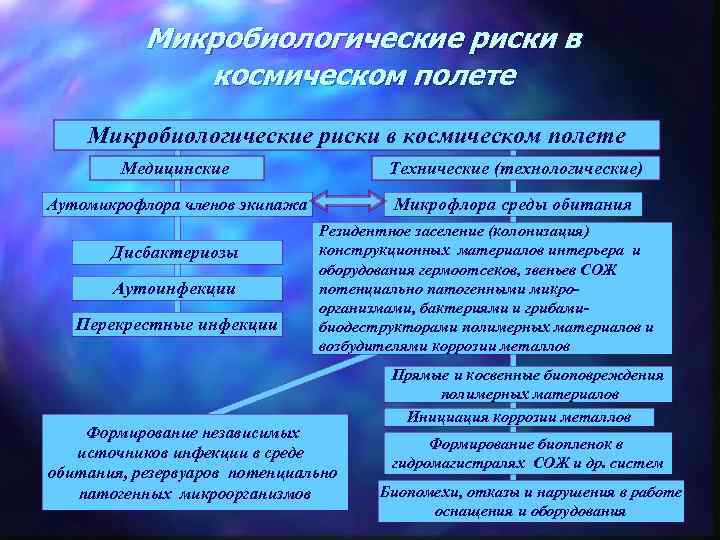 Микробиологические риски в космическом полете Медицинские Технические (технологические) Аутомикрофлора членов экипажа Микрофлора среды обитания