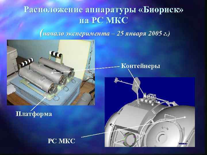 Расположение аппаратуры «Биориск» на РС МКС (начало эксперимента – 25 января 2005 г. )