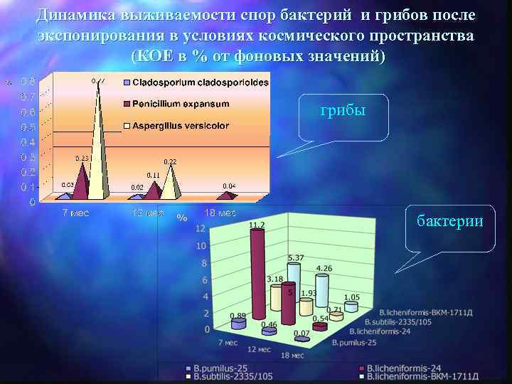 Динамика выживаемости спор бактерий и грибов после экспонирования в условиях космического пространства (КОЕ в