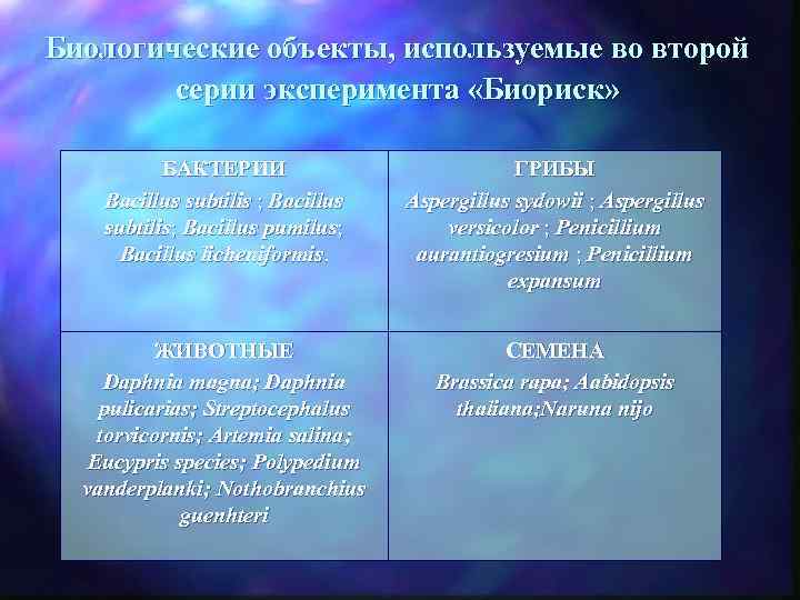 Биологические объекты, используемые во второй серии эксперимента «Биориск» БАКТЕРИИ Bacillus subtilis ; Bacillus subtilis;