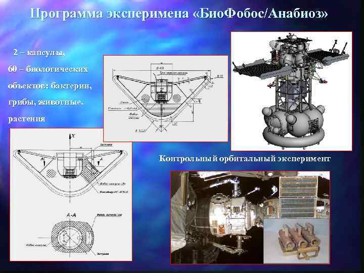 Программа эксперимена «Био. Фобос/Анабиоз» 2 – капсулы, 60 – биологических объектов: бактерии, грибы, животные.