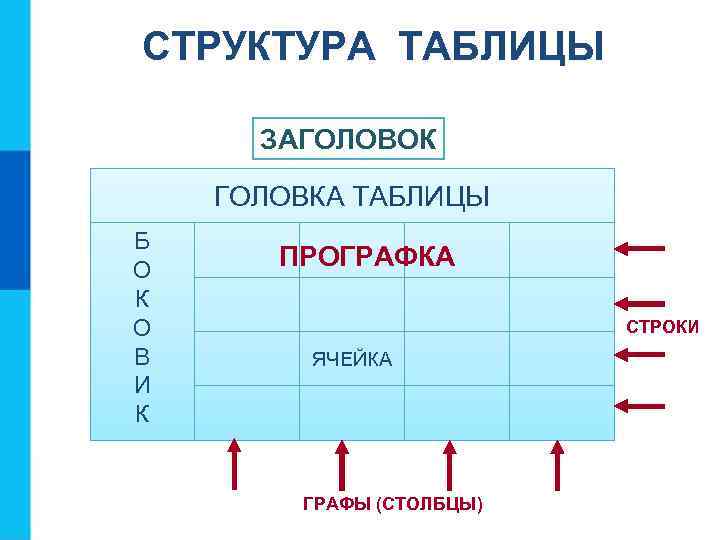 СТРУКТУРА ТАБЛИЦЫ ЗАГОЛОВОК ГОЛОВКА ТАБЛИЦЫ Б О К О В И К ПРОГРАФКА СТРОКИ