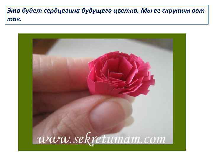 Это будет сердцевина будущего цветка. Мы ее скрутим вот так. 