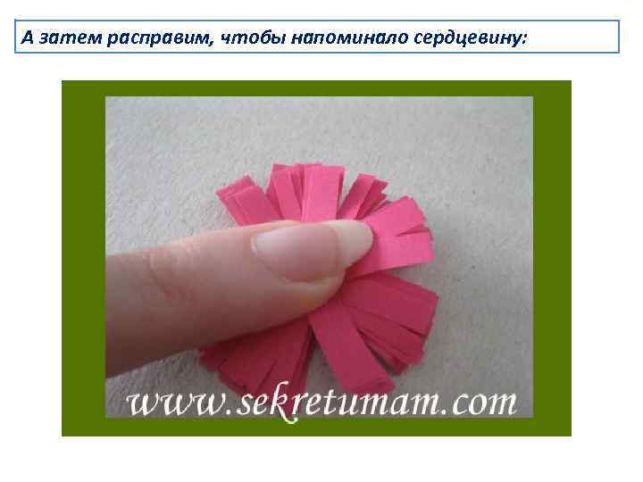 А затем расправим, чтобы напоминало сердцевину: 