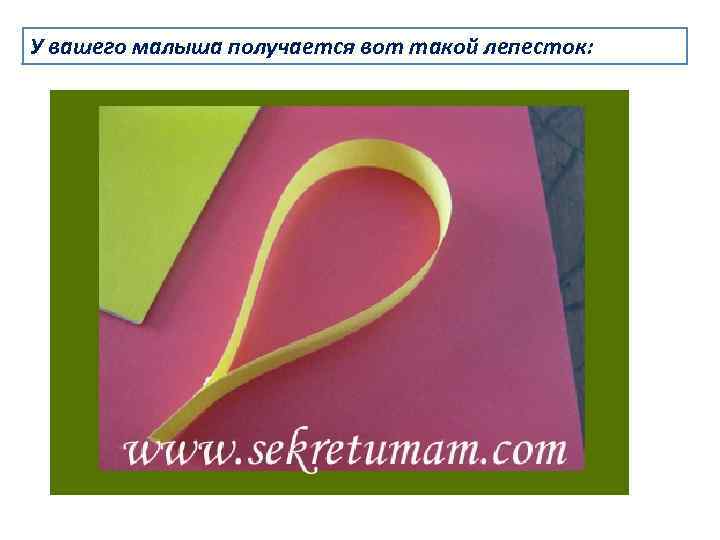 У вашего малыша получается вот такой лепесток: 