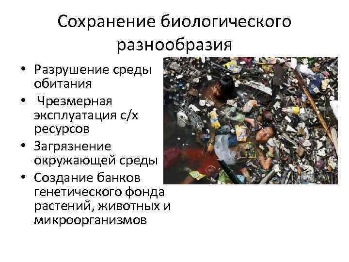 Сохранение биологического разнообразия • Разрушение среды обитания • Чрезмерная эксплуатация с/х ресурсов • Загрязнение