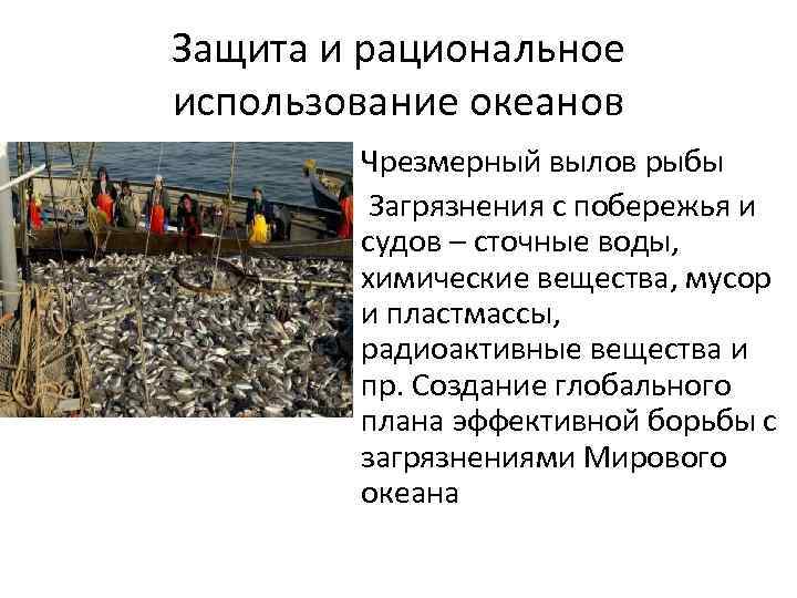 Защита и рациональное использование океанов • Чрезмерный вылов рыбы • Загрязнения с побережья и