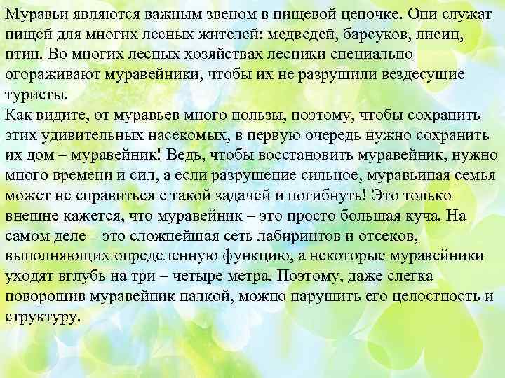 Муравейники Муравьи являютсяиважным звеном в пищевой цепочке. Они служат Муравьи – важнейшая необходимая составляющая