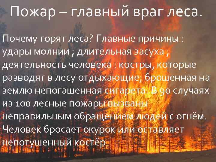 Пожар – главный враг леса. Почему горят леса? Главные причины : удары молнии ;