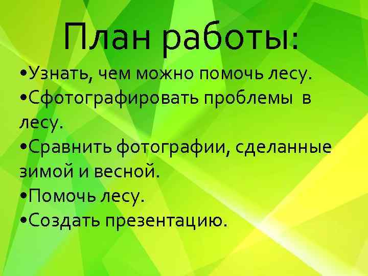 План работы: • Узнать, чем можно помочь лесу. • Сфотографировать проблемы в лесу. •