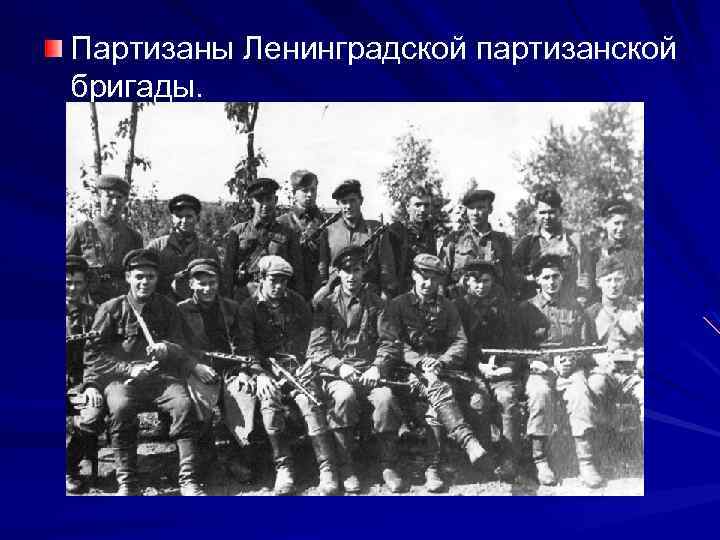 Партизаны Ленинградской партизанской бригады. 