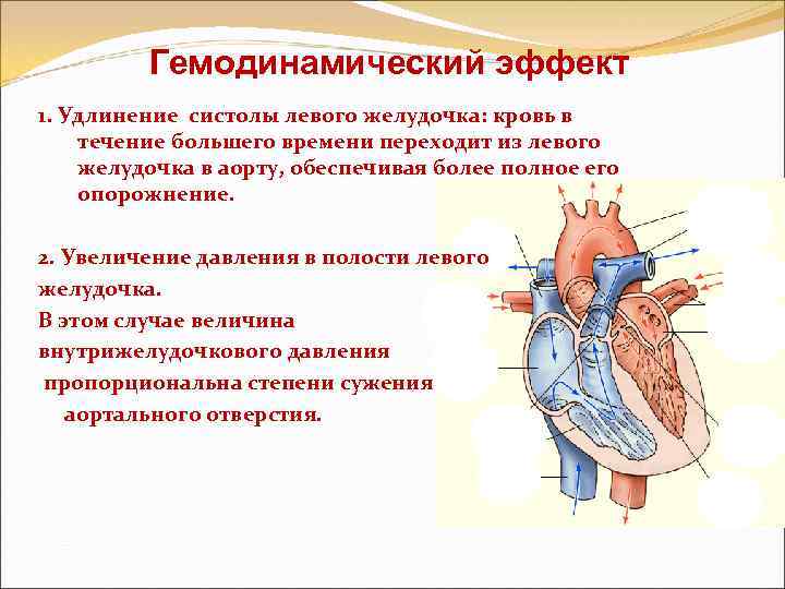 Площадь открытия аортального клапана