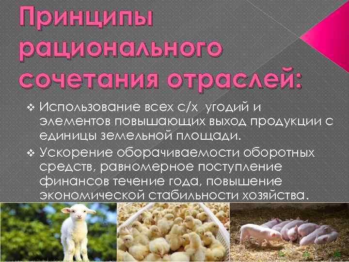 Принципы рационального сочетания отраслей: Использование всех с/х угодий и элементов повышающих выход продукции с